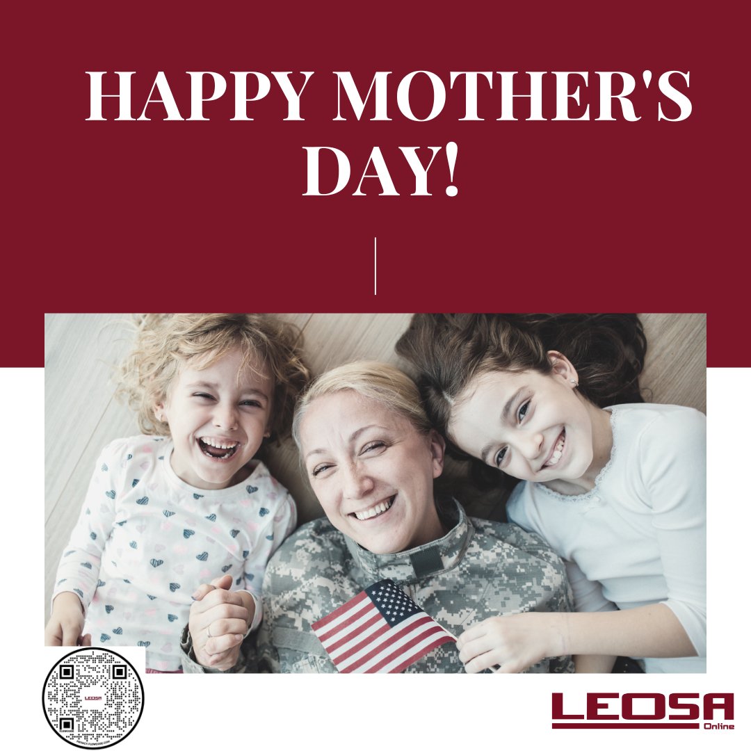 LEOSA - Defense Consulting Services tweet media