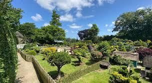 Cheverton Copse tweet media