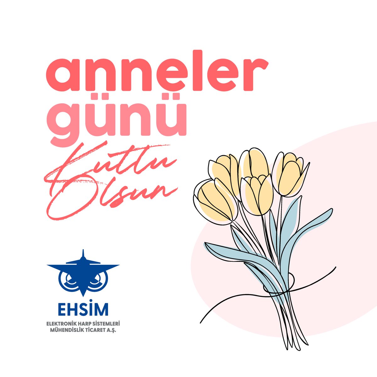 EHSİM Elektronik Harp Sistemleri tweet media