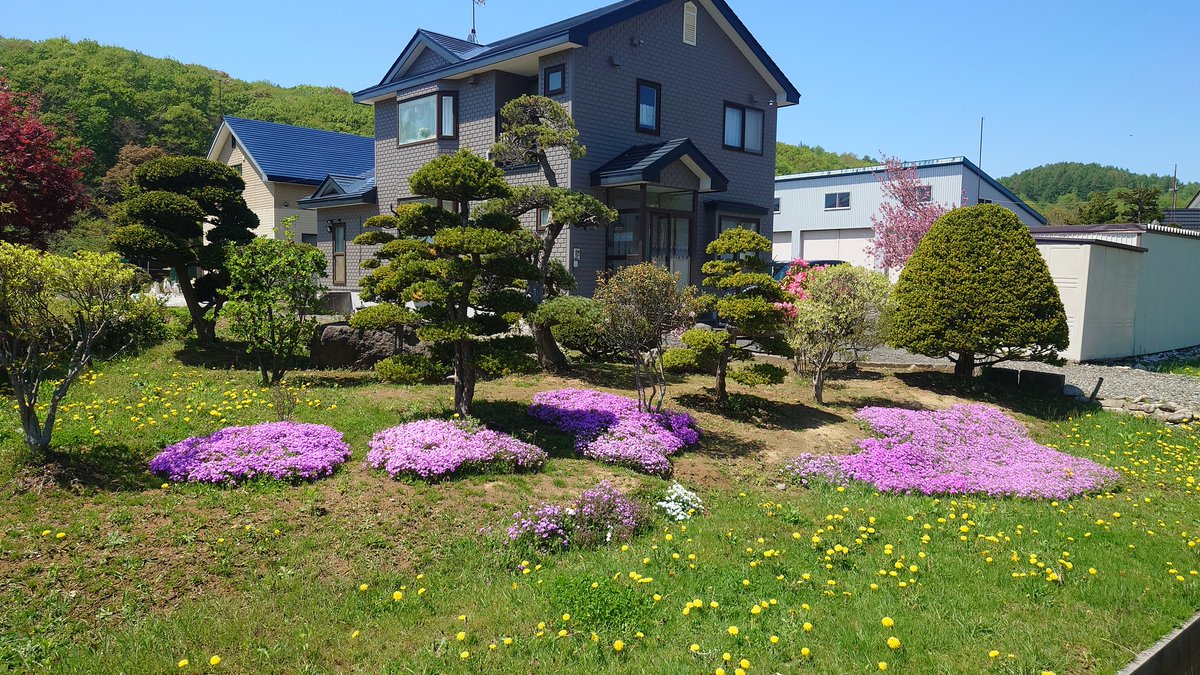 kinya_aa's tweet photo. ☀️暖かく色鮮やか🏵️
#庭木 #共和町 #kyowa #岩宇 #北海道 #hokkaido #hokkaidolikers #hokkaidosgram  #hokkaido_lovers #hokkaidolove #北海道ラブ #japan #hmnote #後志総合振興局 #visitshiribeshi #garden https://t.co/ViSzPAot3I