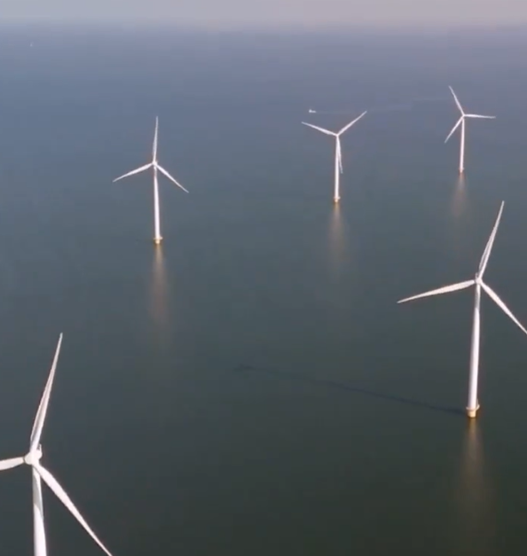 Il vento è l'elemento chiave per il raffreddamento delle superfici marine.

Le turbine rallentano il vento  Questo indebolisce la miscelazione, blocca l'affioramento e, a sua volta, intrappola il calore in superficie.
Il riscaldamento si manifesta entro pochi giorni e si estende