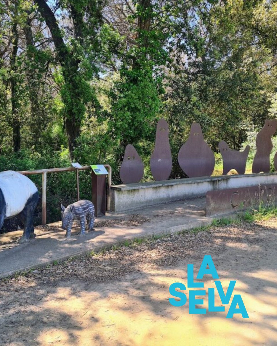 TurismeSelva's tweet photo. 📜 Fa 3,5 milions d'anys, la Selva era una terra de clima subtropical.

Avui pots visitar el jaciment del Camp dels Ninots, a @AjCMalavella , i caminar sobre una de les pàgines més antigues del nostre territori.

🔗 https://t.co/EXbVubnHSS https://t.co/acxIR74EaI