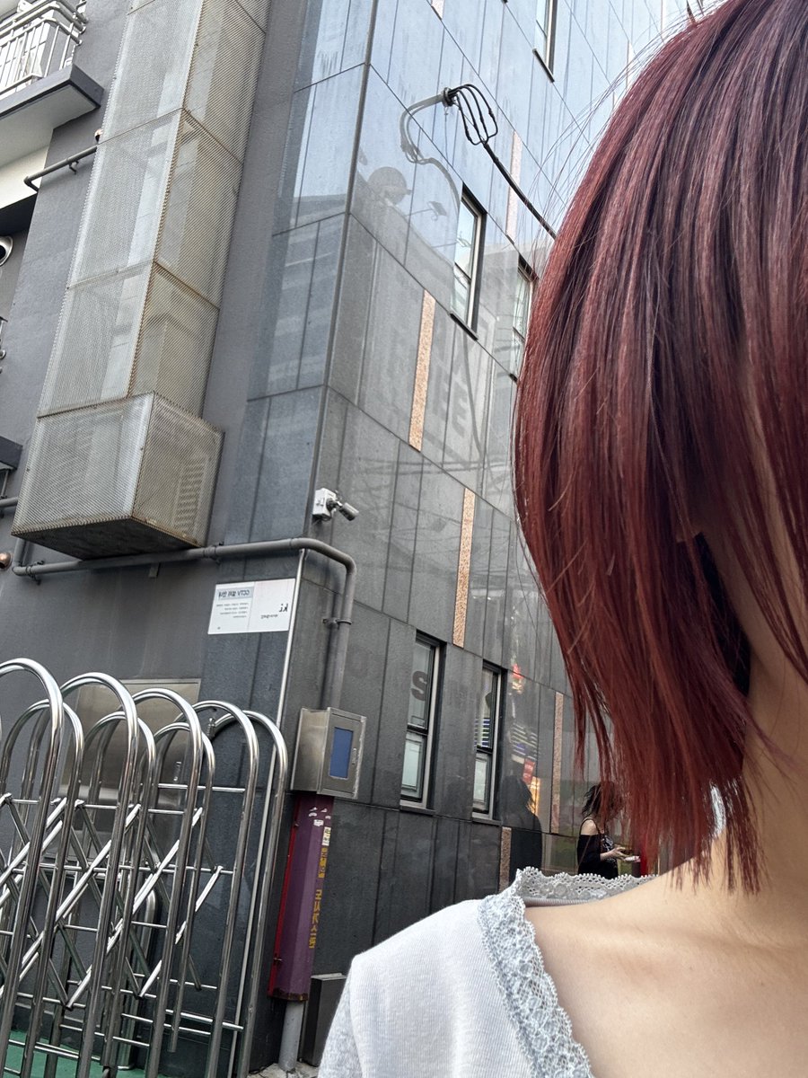 더쥐 tweet media