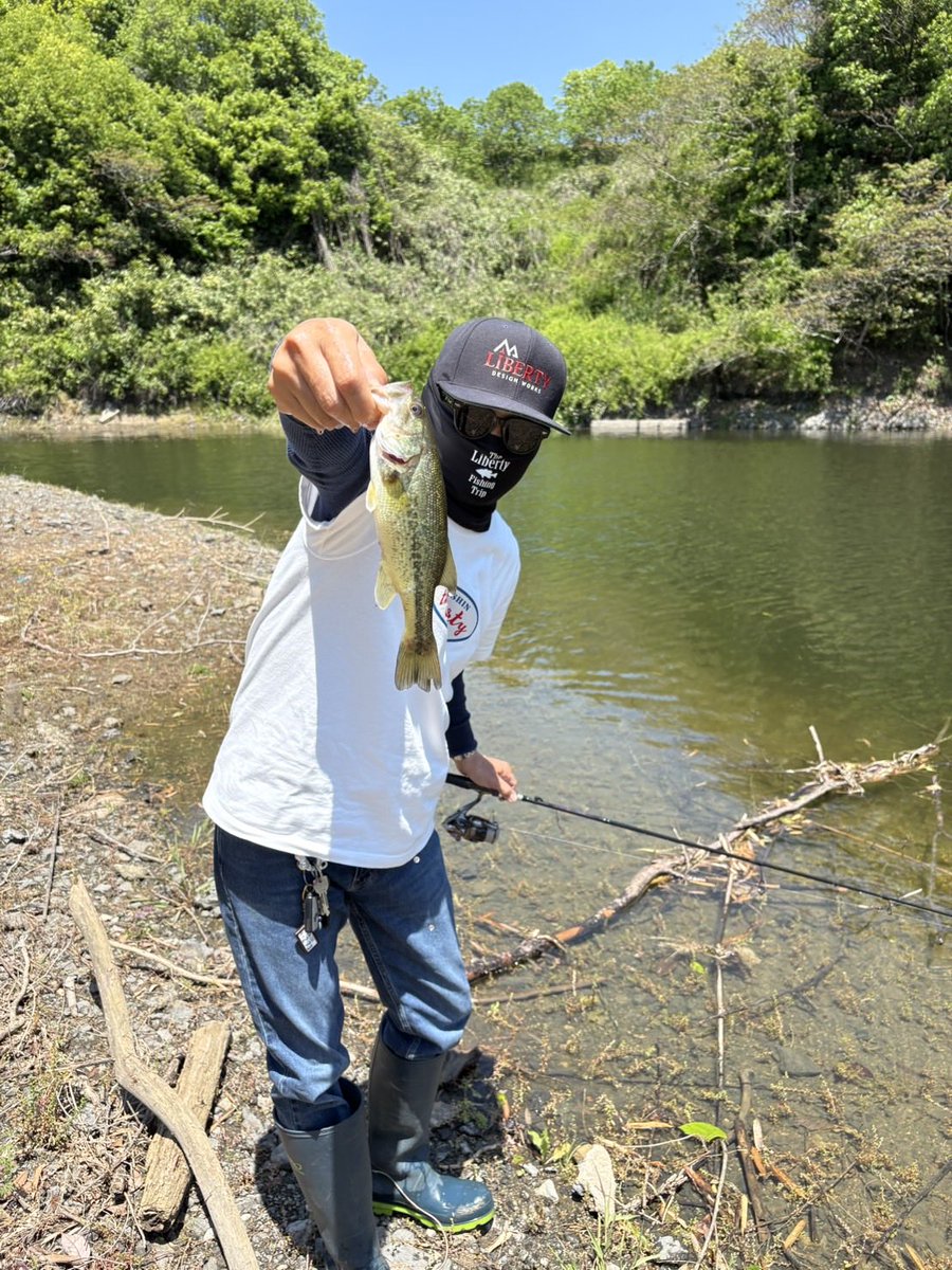 NOMAD TOSHI tweet media