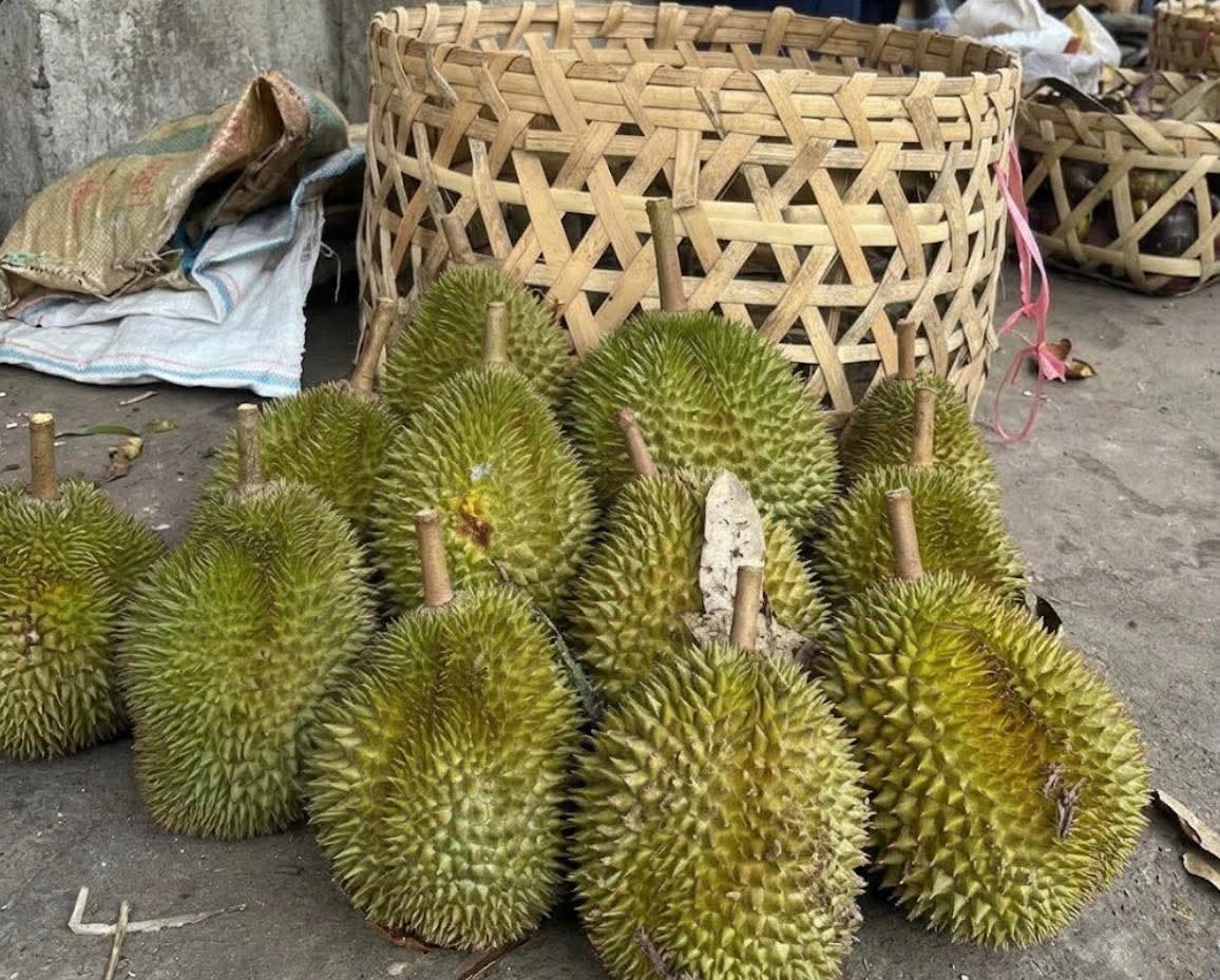 TreasureOo7's tweet photo. ဂွေးစိမှာမှဲ့ပါတဲ့သူ ဒူးရင်းသီး 1လုံးအလကားယူ https://t.co/CH2L5WEGuI
