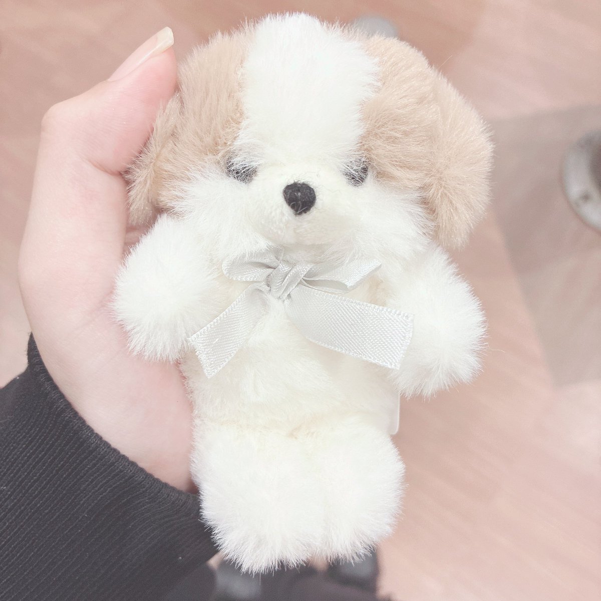 ガイジ検定3級 (@1_hope_you_die) / Posts / X