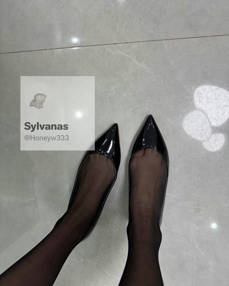 Syl tweet media