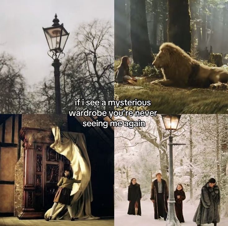 narniaxaslan's tweet photo. https://t.co/xdkrgcquZO