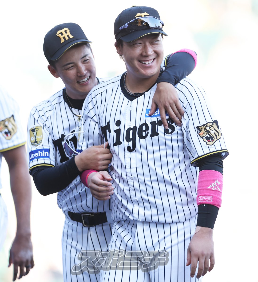 スポニチTIGERSフォト tweet media