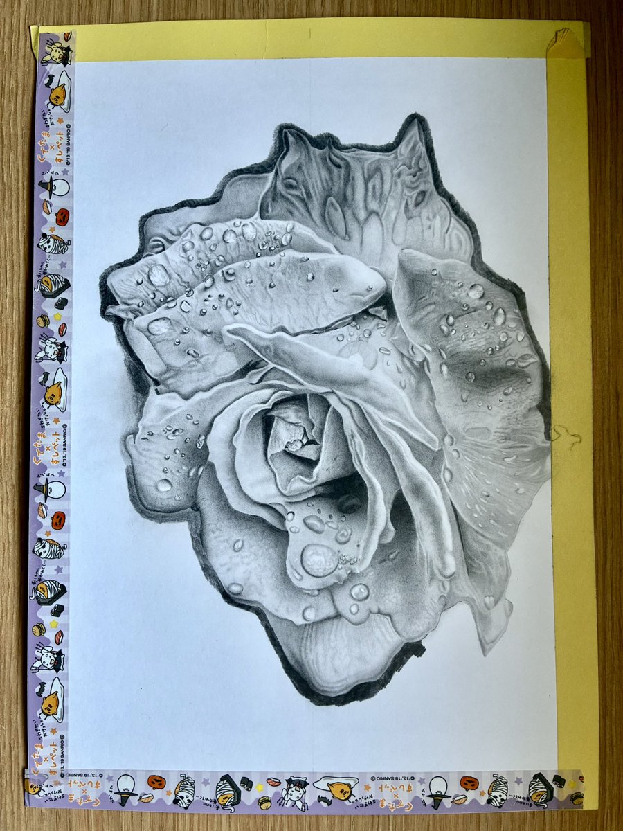 eternally_days's tweet photo. 薔薇描きました🌹✏️

#鉛筆画 #薔薇 #pencildrawing #rose https://t.co/yxpbrs8DGL