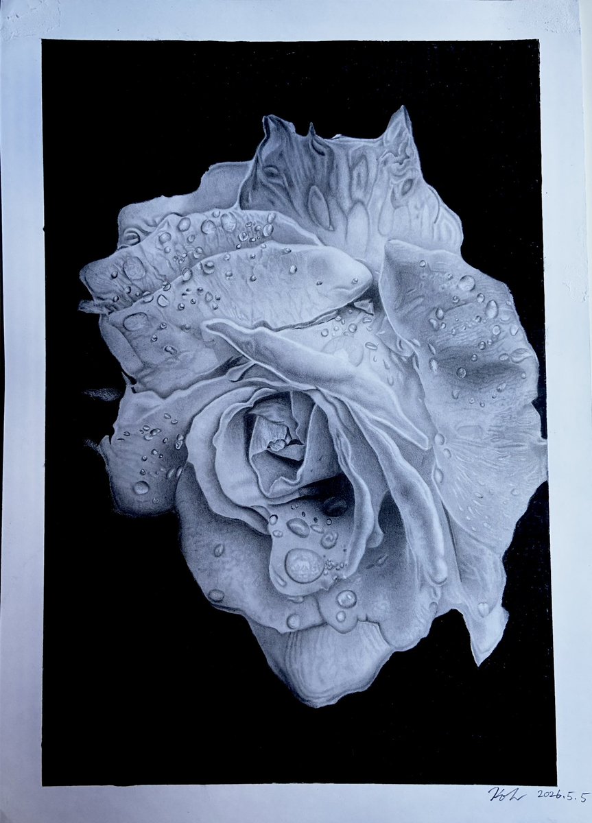 薔薇描きました🌹✏️ #鉛筆画 #薔薇 #pencildrawing #rose