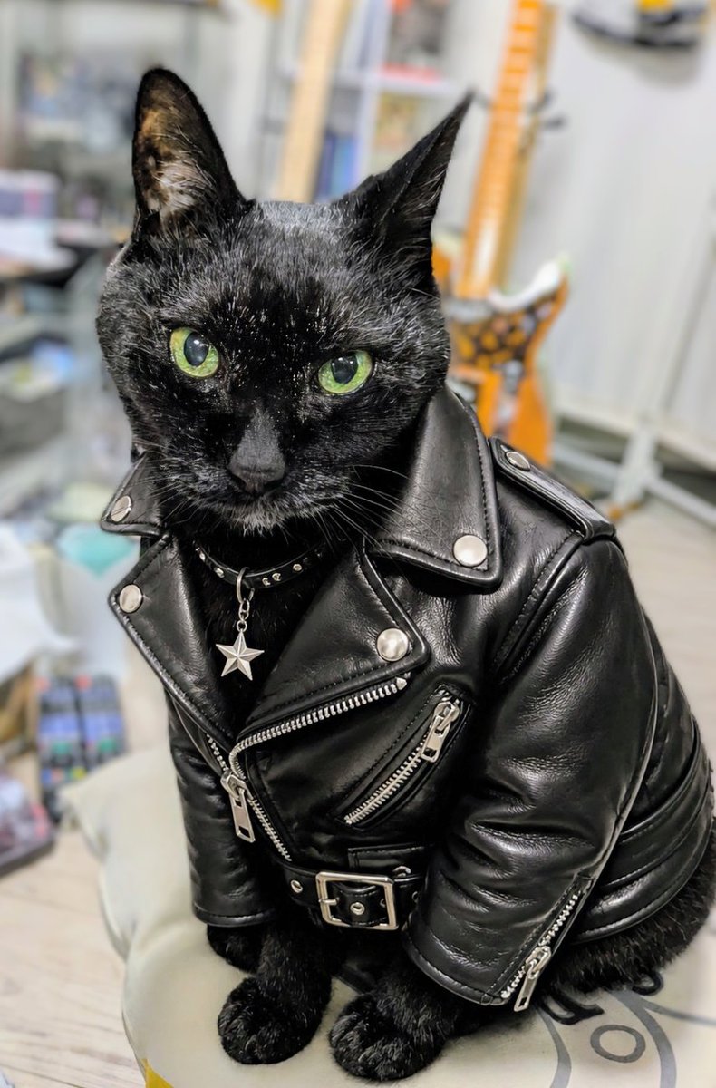 かわいい♡似合ってるよ🎸