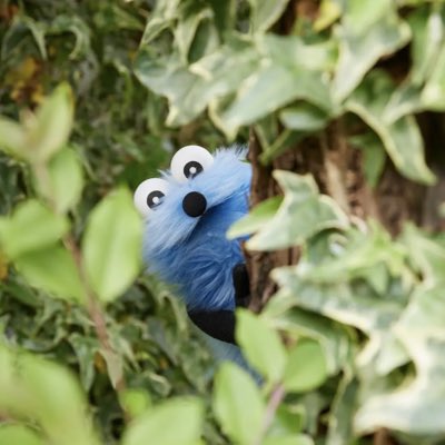 gluten0720's tweet photo. #新しいプロフィール画像 https://t.co/GDDhyhawd3