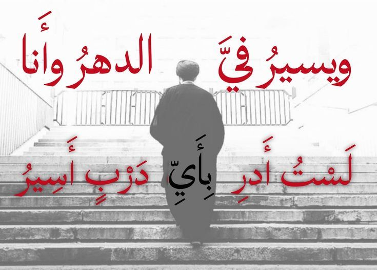 بيت شعر عربي كل يوم tweet media