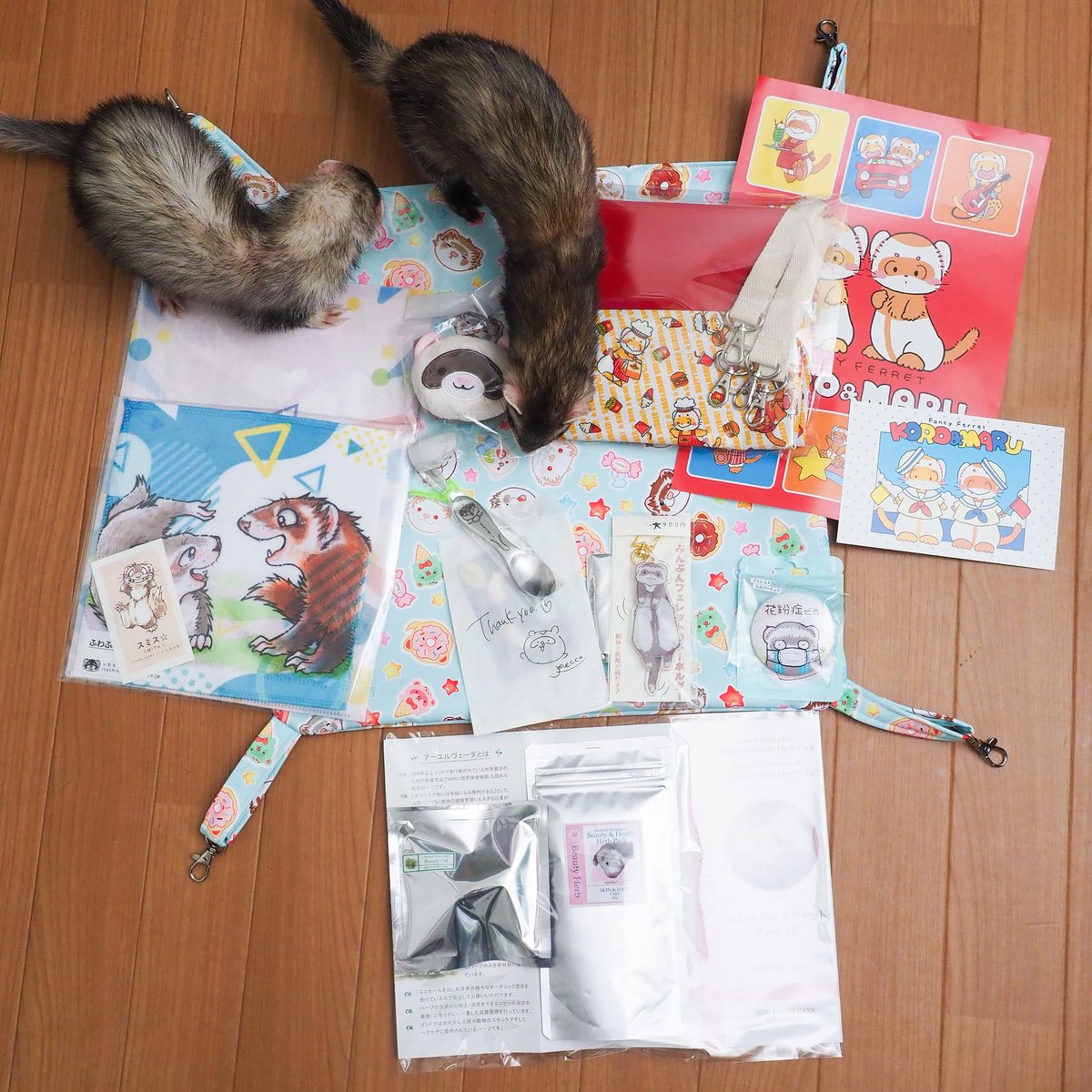 本日の戦利品！ フェレット好きの皆様の熱いパワーを感じた1日でした