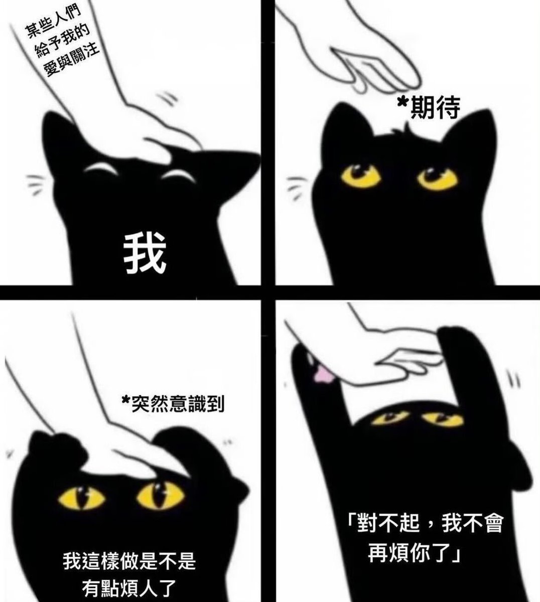 Mimi🐱(ins:Mimi_52099) tweet media
