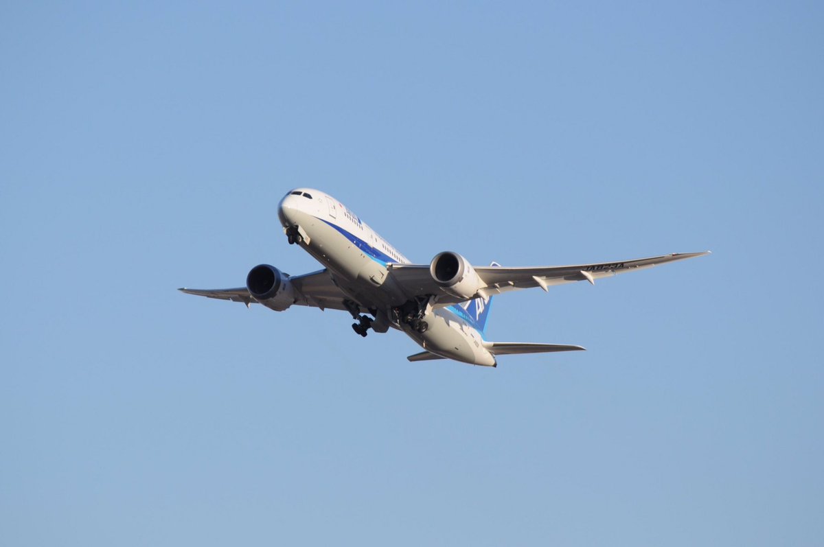 ANA B787-8 JA823A メキシコシティ対応 RRトレント1000-Lエンジン搭載