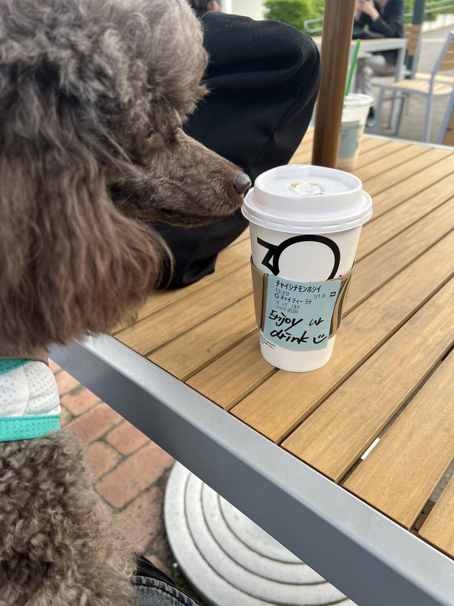 RV_REOn's tweet photo. シナモンパウダーがモバイルオーダー出来ないからニックネームにしてるんだけど
番号じゃなくてニックネームしか出ない時に言うの恥ずかしいから
モバイルオーダーにもシナモンパウダー追加してください...スターバックスさん... https://t.co/aSoyXXpdgg