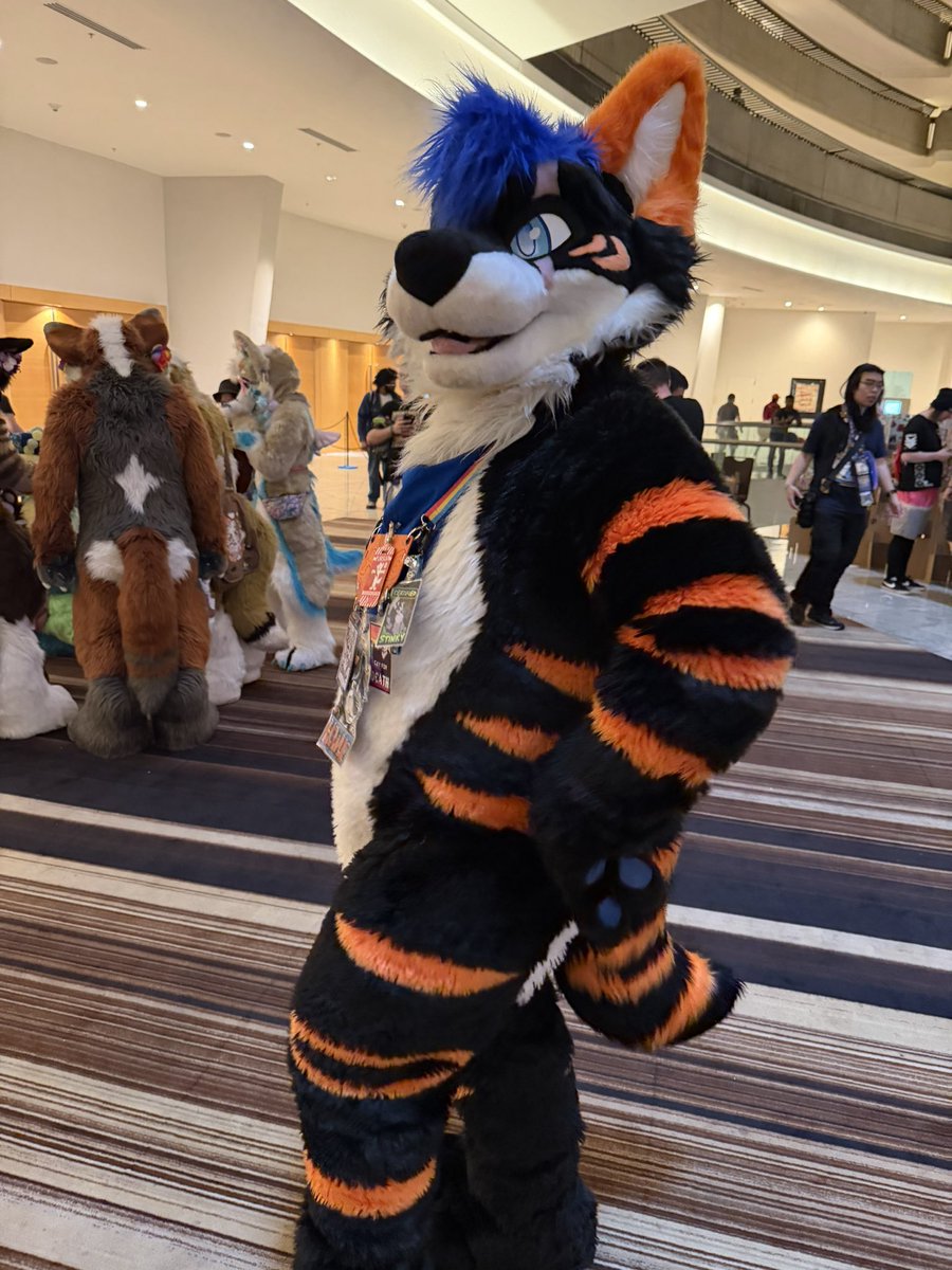SkinnsH's tweet photo. @howlietigerpaw Hi I saw you! It was nice meeting you! https://t.co/14TdhFshtI