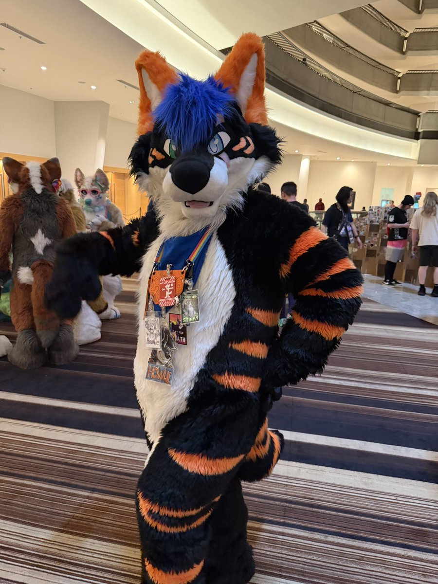 SkinnsH's tweet photo. @howlietigerpaw Hi I saw you! It was nice meeting you! https://t.co/14TdhFshtI