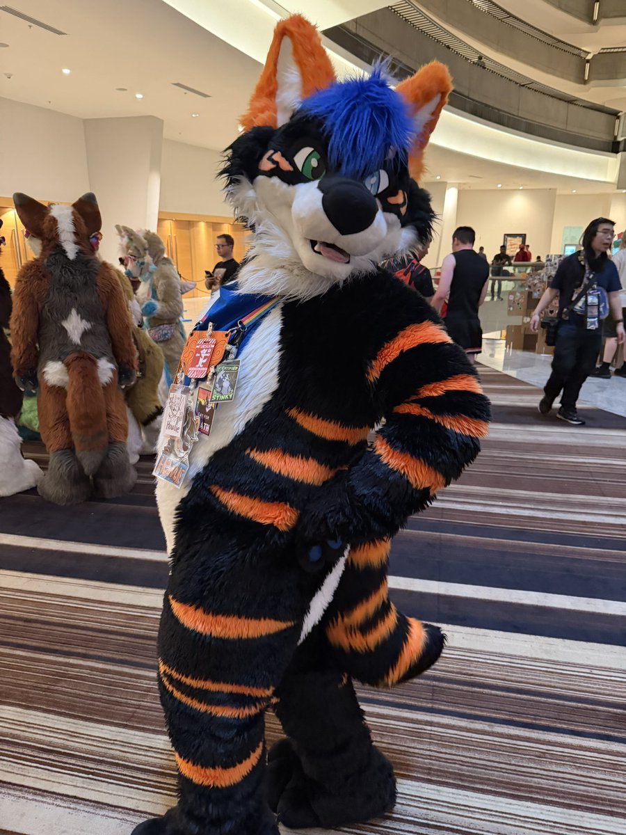 SkinnsH's tweet photo. @howlietigerpaw Hi I saw you! It was nice meeting you! https://t.co/14TdhFshtI