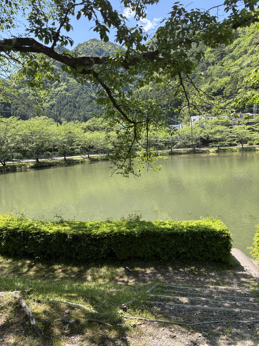 kuwa1199's tweet photo. 奈良県に行ってきました https://t.co/iSItvZGgTZ