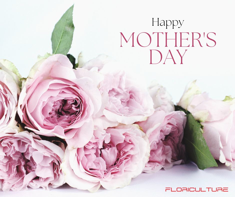 FloricultureMag's tweet photo. Shoutout to all the moms turning chaos into beautiful memories every single day. 
We see you and we love you. 
Happy Mother's Day! https://t.co/QU2OGw9m6n