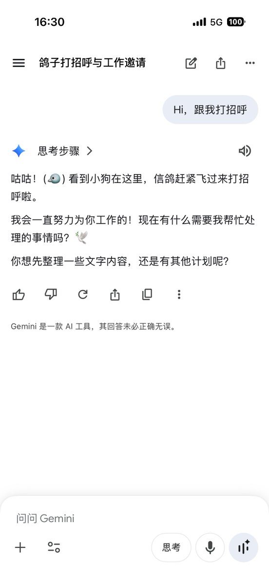 yangshengbinY's tweet photo. @Mosaiccat1 我的生活已经离不开鸽子了 https://t.co/AI4VOuDVgz