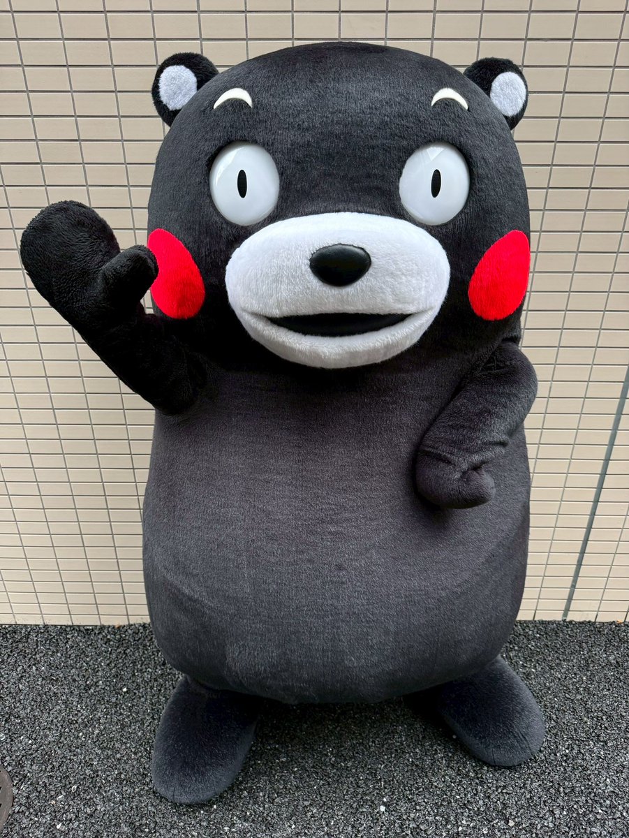 くまモン【公式】 tweet media