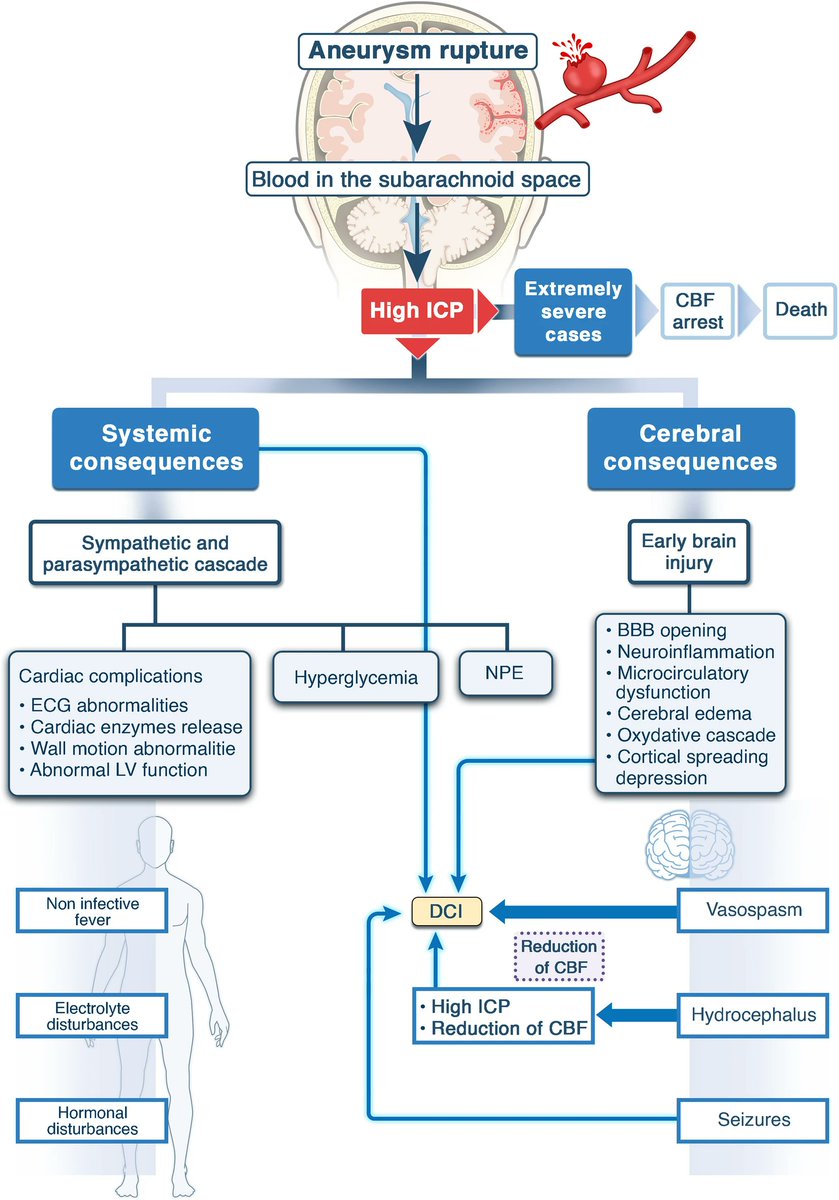 Critical Care Reviews tweet media