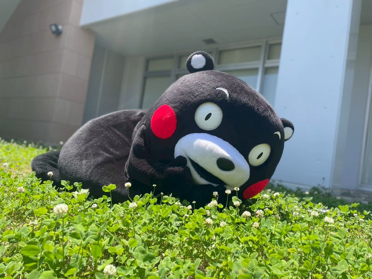 ☆☆くまもん☆☆ Amazon.co.jp: くまモンもん(DVD付): ミュージック