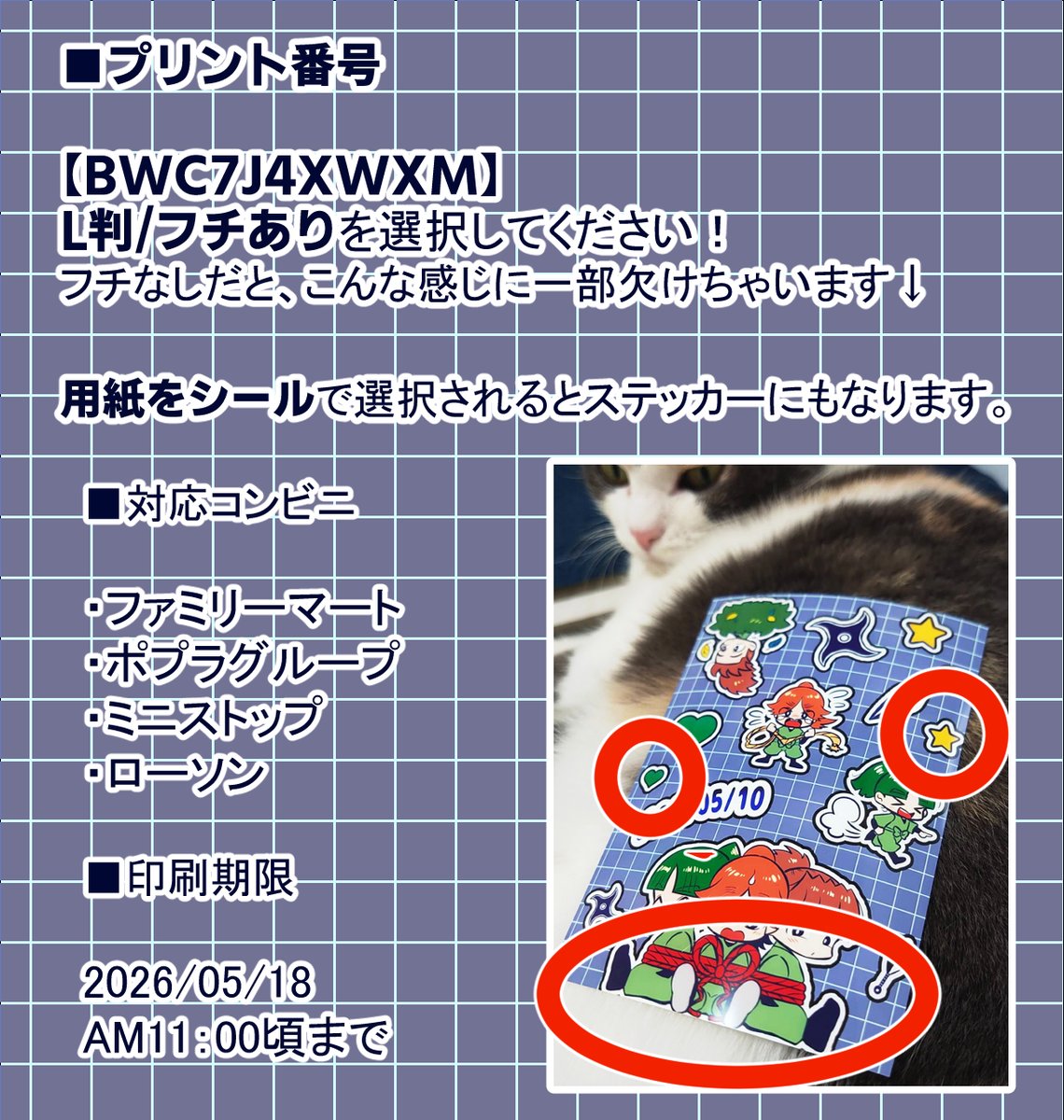 琴崎 tweet media
