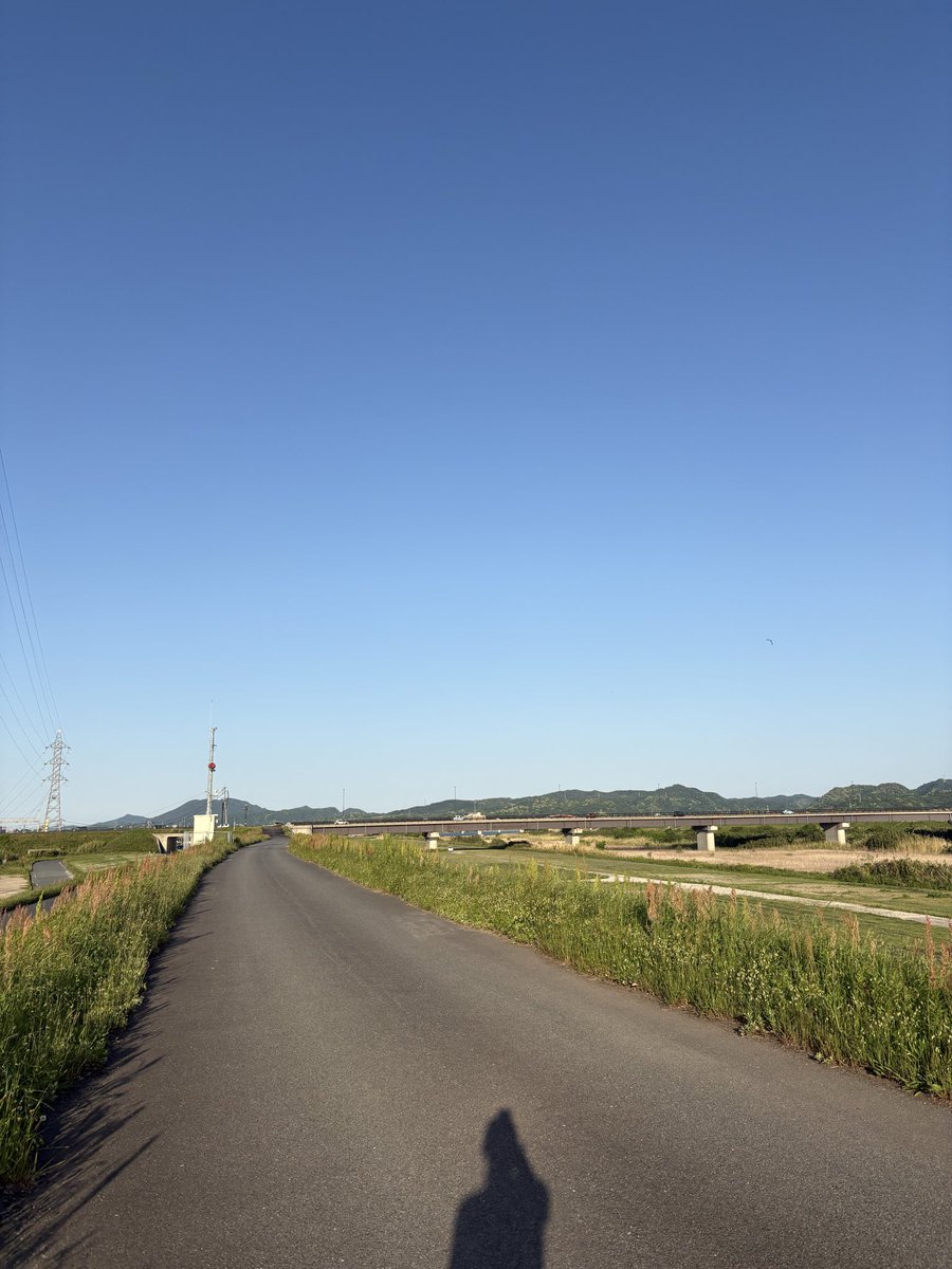 waaahimadayooo's tweet photo. 天気良い散歩 https://t.co/UEcIlhmIIq