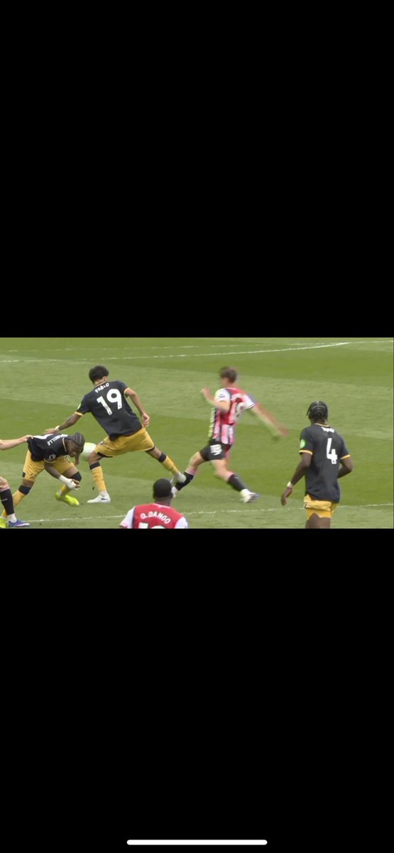 BrentfordBee tweet media
