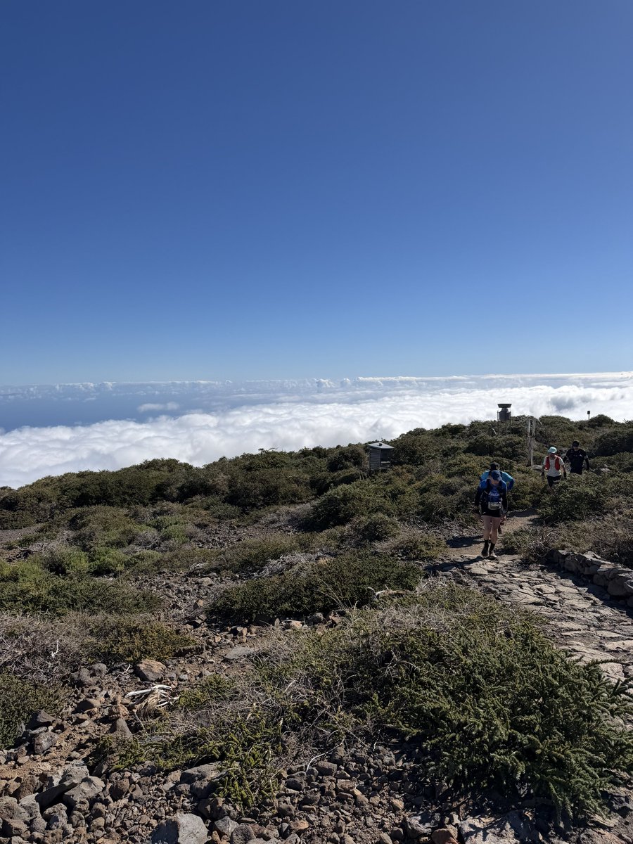 JonasC14's tweet photo. #TRANSVULCANIA2026 De esas cosas que llenan el alma. Seguimos a por más! ⛰️🙌🏻❤️
Maratón @Transvulcania ✅ https://t.co/GK1JHIFbGy