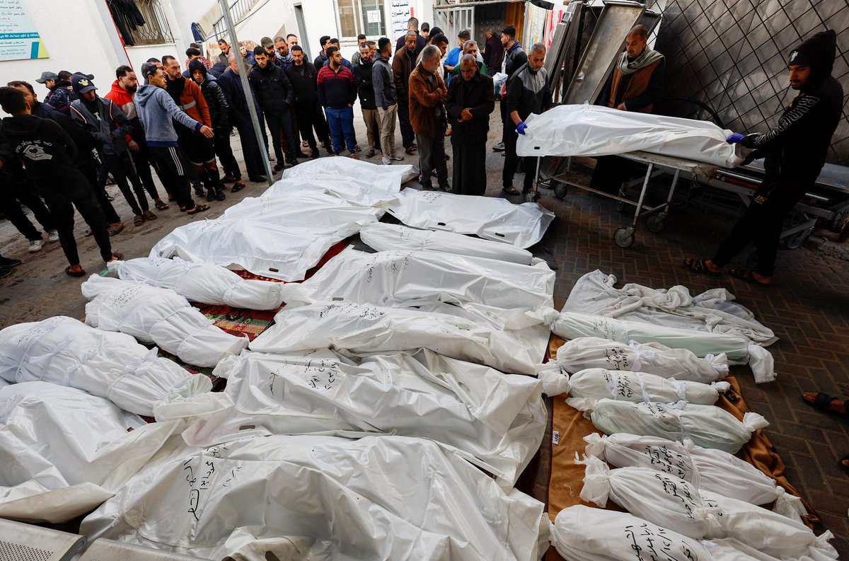 free Falestine tweet media