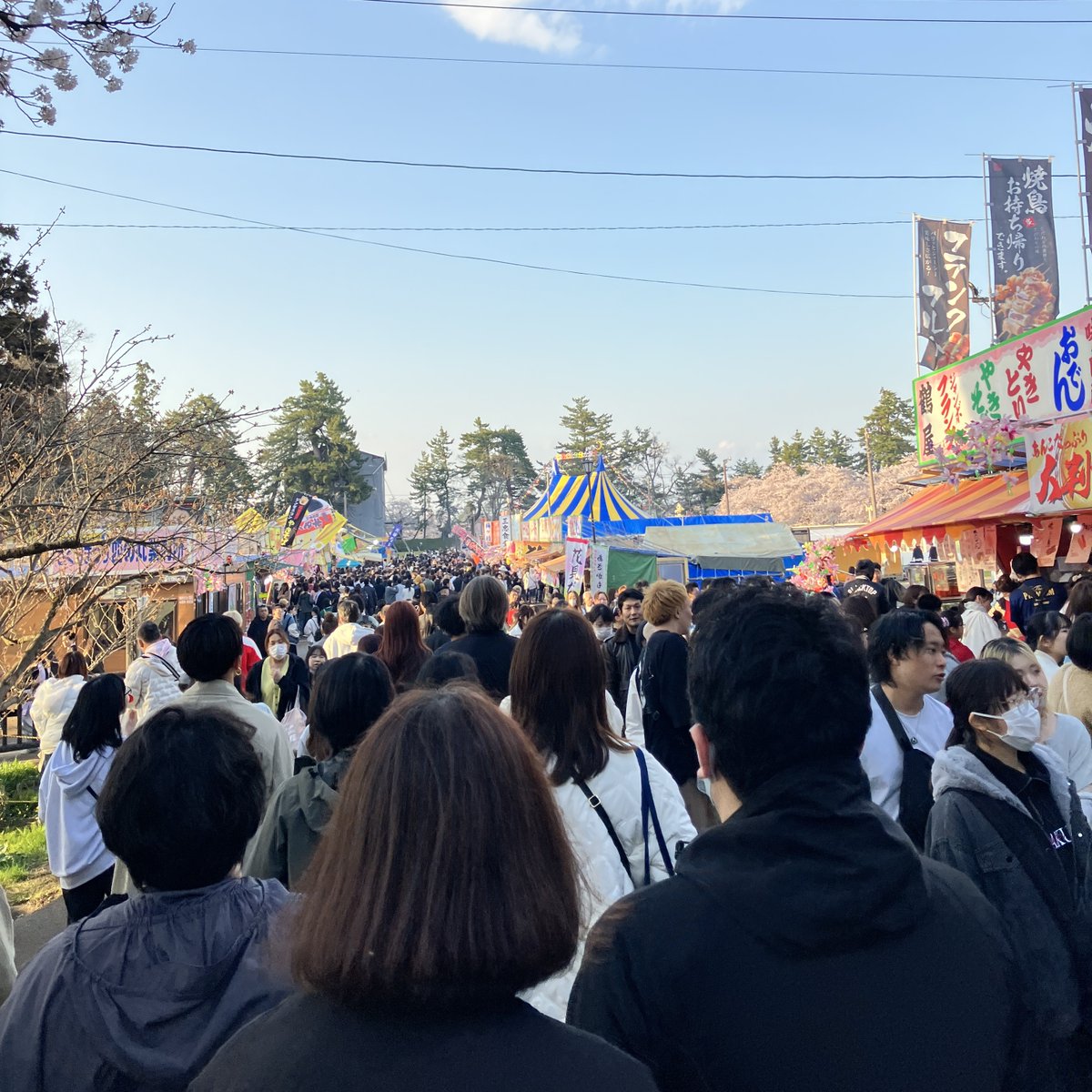 kirin005's tweet photo. #弘前さくらまつり の写真を毎年撮ってると、実は何年の写真かわからなくなる。地元 #あるある 出来事🥰 しかし今年は速かった。来るのも早ければ、去るのも早い。ピンポイント4月18・19日一択でしたね(^^♪、明日の #帰れマンデー見っけ隊!!はタイミングよかったかな？ https://t.co/JzYFGIQ7gn