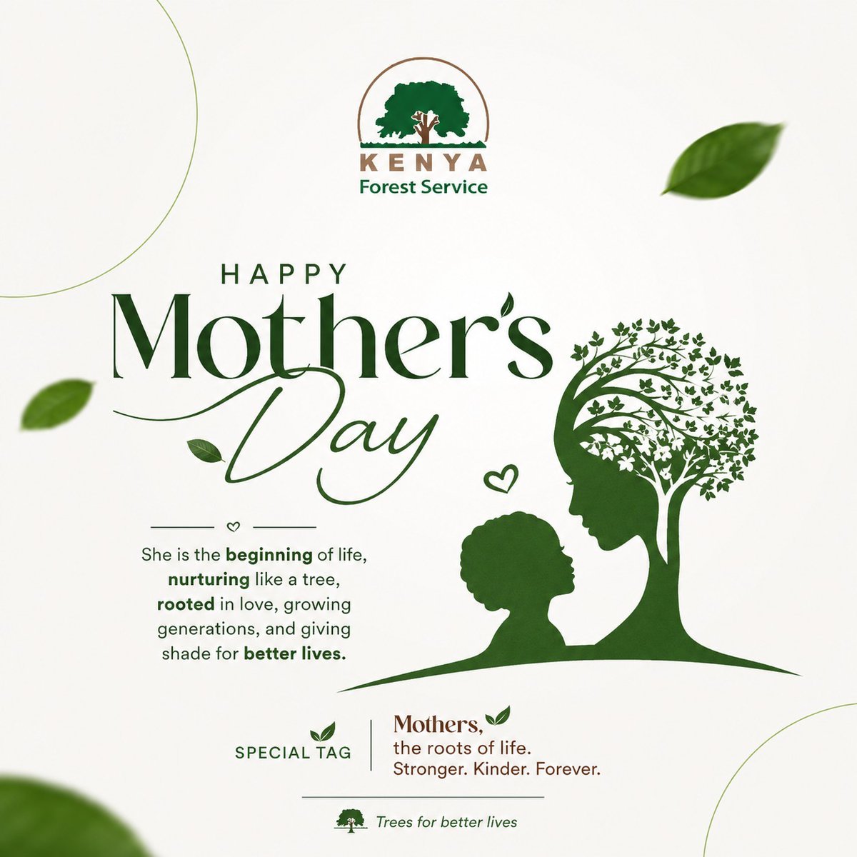 Kenya Forest Service tweet media