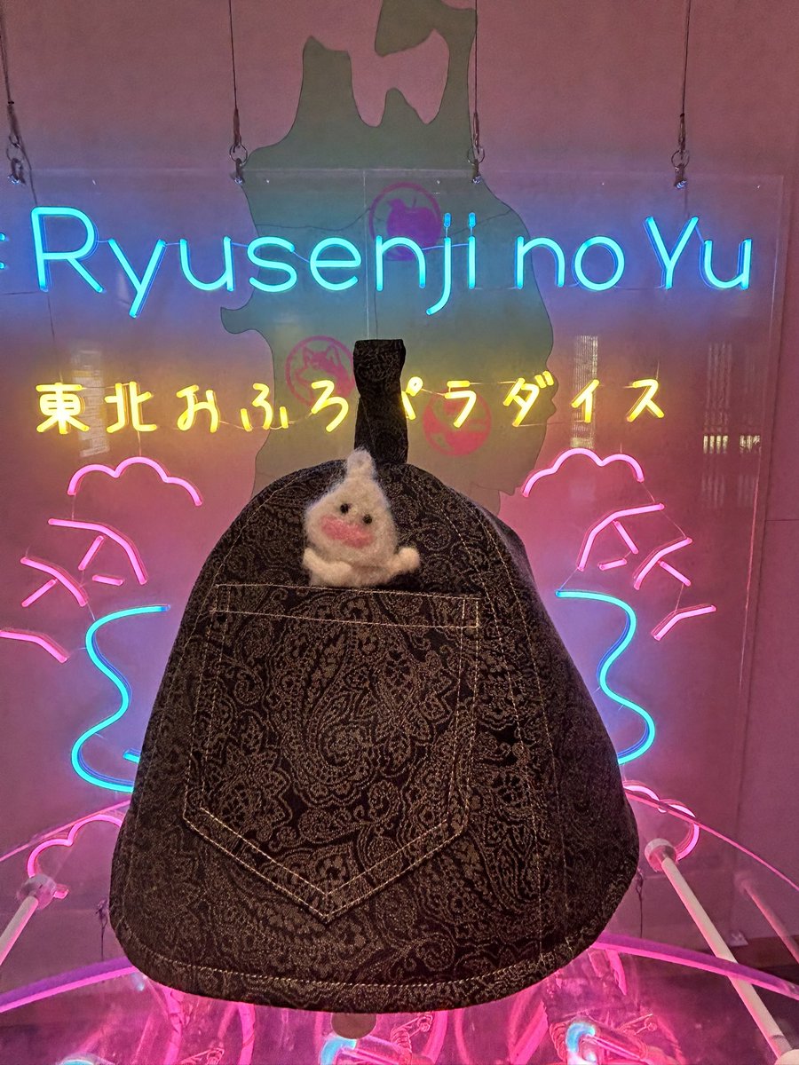 SAUNOA(のあ) tweet media