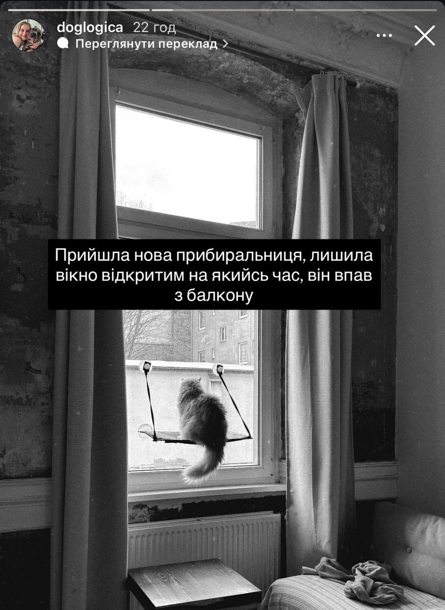 Irena Druzenko 🇺🇦🐈⬛ KCC (Kyiv Cat Crew) tweet media