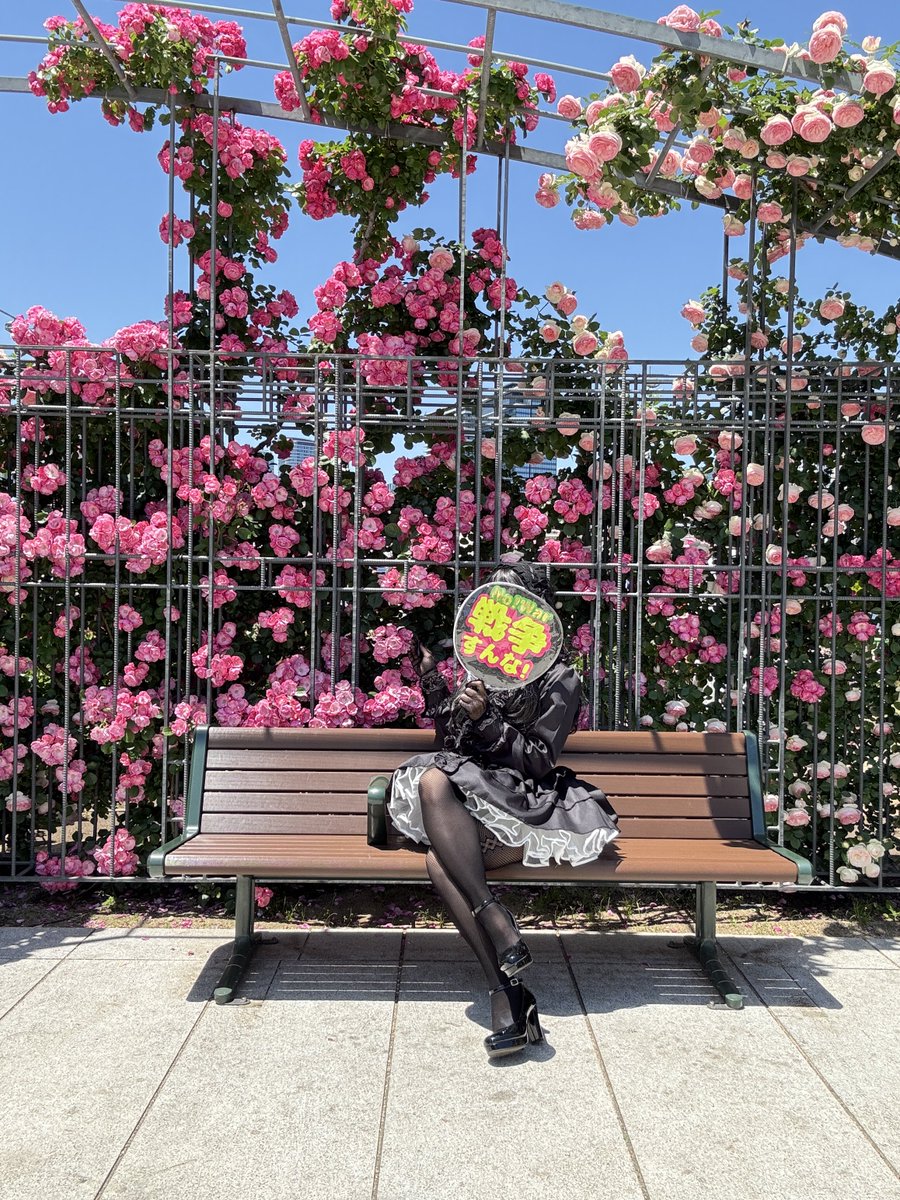 𝔫𝔲𝔩𝔩🌹 tweet media