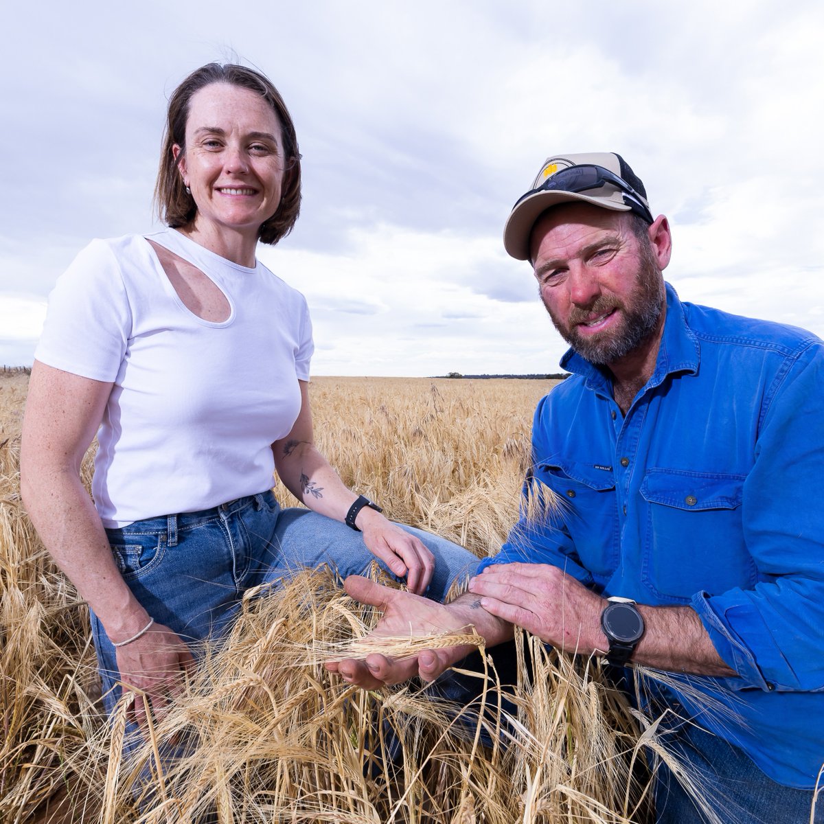 GRDC tweet media