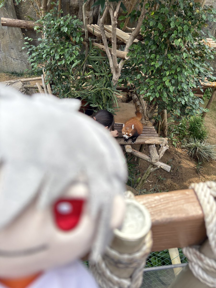 chiyu tweet media