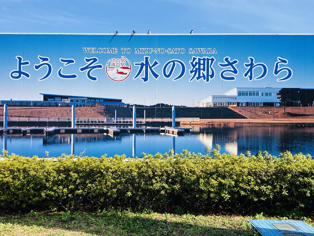 Cong コン tweet media