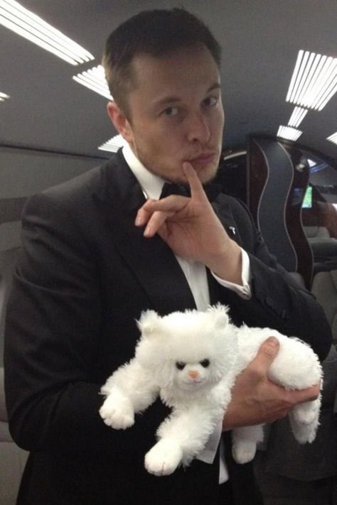 Lrivee8's tweet photo. “When holding my new white cat, I feel a strange desire for Bob's Big Boy and sharks with lasers.”

Elon Musk 😂🤣 https://t.co/NY3s7SV6WH