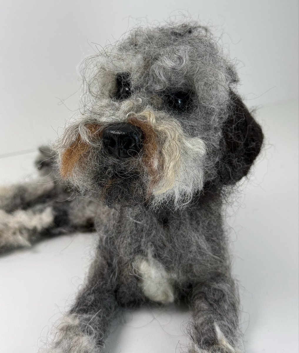 ffinlaysonart's tweet photo. A needle felted portrait of a lovely dog https://t.co/aLWdGg3R9Y