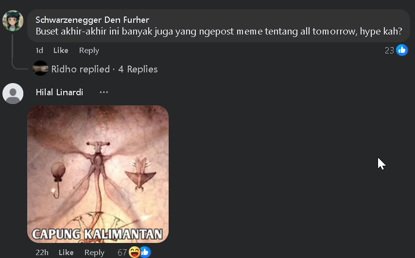 Maybegitu tweet media