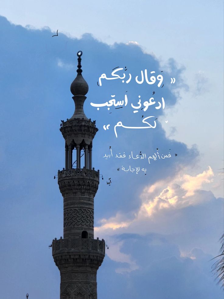 Rowida Alqahtani tweet media