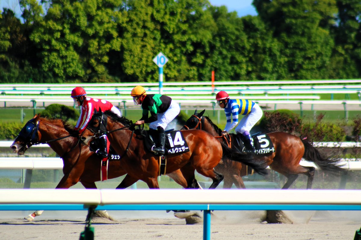 どんまぃ📸 tweet media