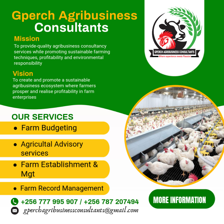 GodfreyNtako's tweet photo. @SpireJim We offer all agriculture consultancy services https://t.co/rtwY5IEgMX